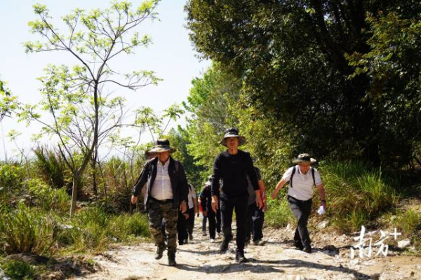 连州市委书记潘正焕率队巡山6小时,压实森林防火责任。 连州市委书记潘正焕率队巡山6小时,压实森林防火责任。