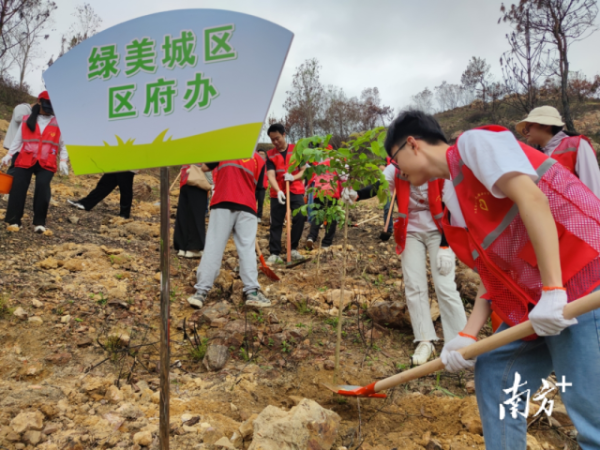 城区党员干部参与义务植树活动。