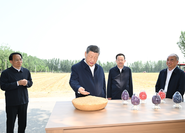 已编辑图片