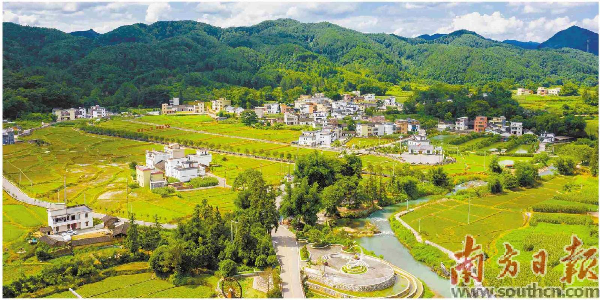 阳山党建引领基层善治凭什么叫好.jpg