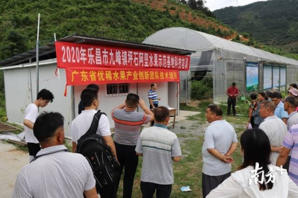 举办职业农民培训