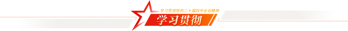 学习贯彻 学习贯彻